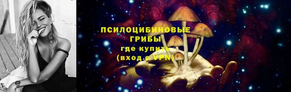 PSILOCYBIN Алексеевка