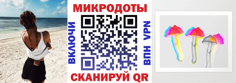 закладка  Лесосибирск  Псилоцибиновые грибы Psilocybine cubensis 
